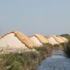 Marsala_2012 (394)